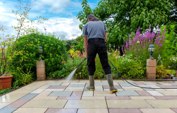 Best Driveway Pressure Washing  in Coleytown, CT